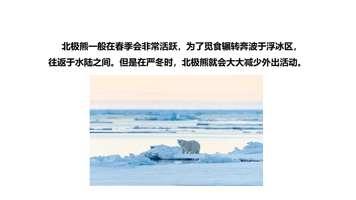 18486054第2页