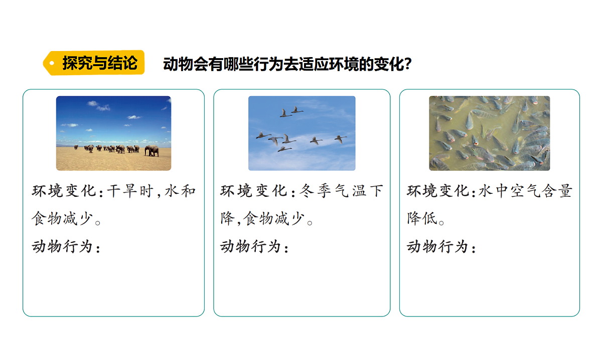 18486054第3页