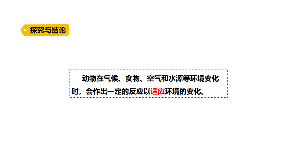 18486054第4页