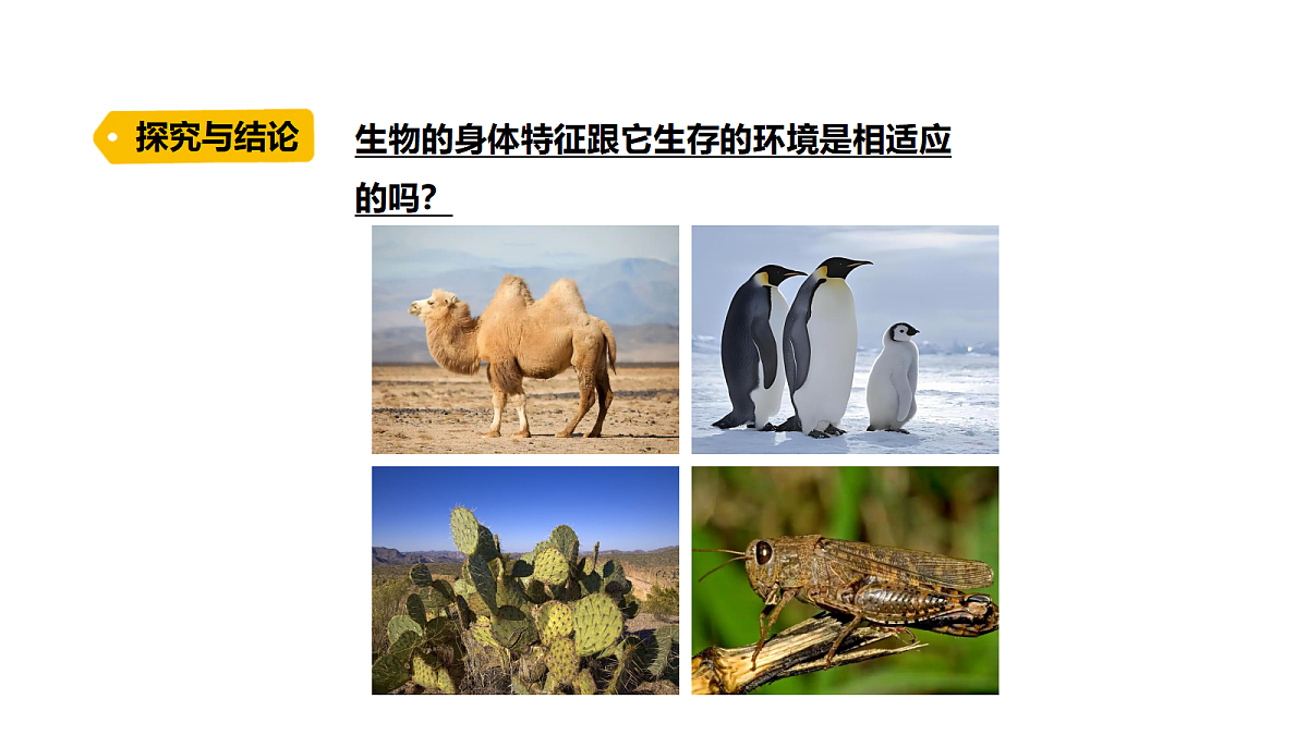 18486054第5页