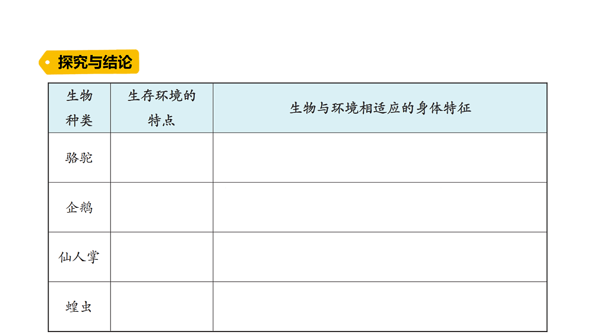 18486054第6页