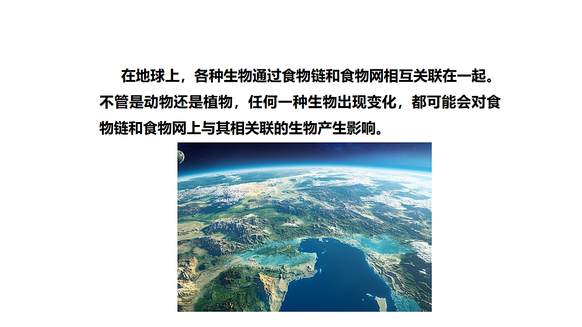 18486057第2页