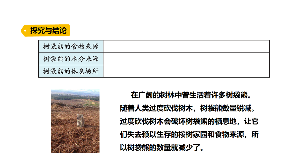 18486057第4页