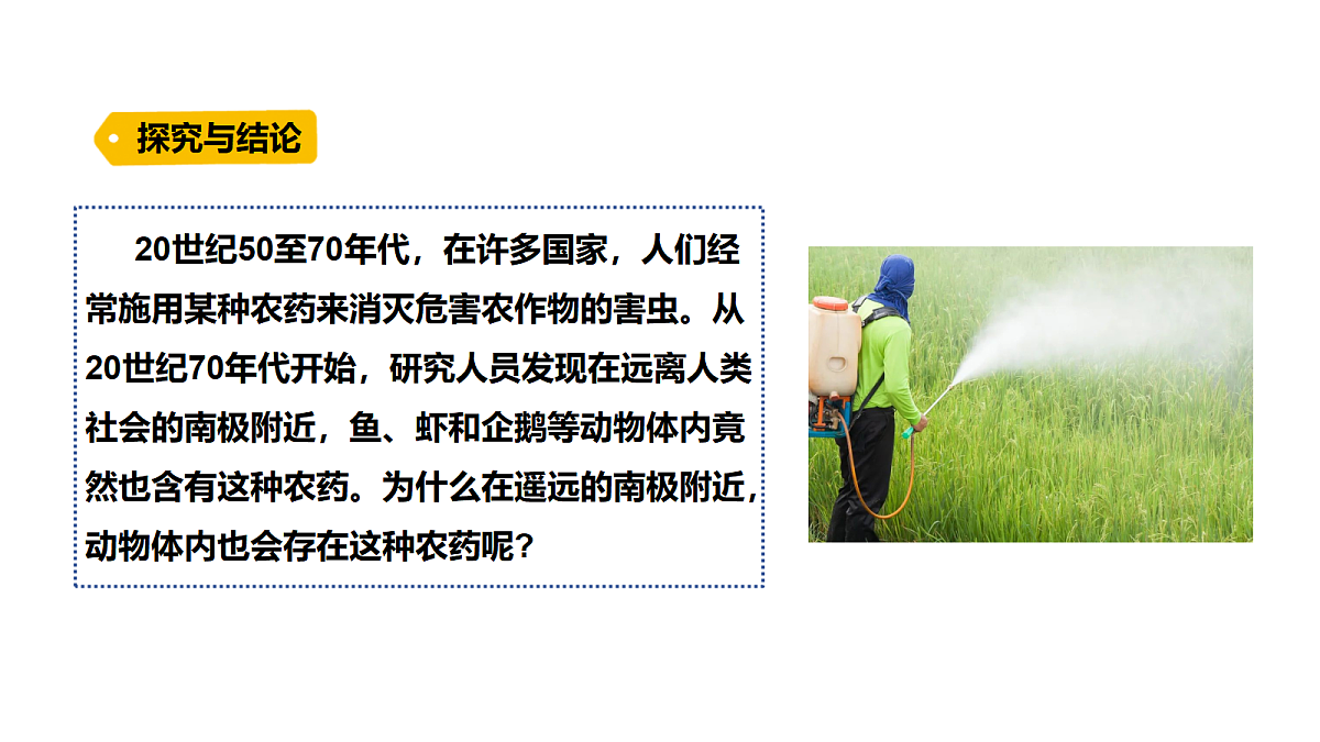 18486057第5页