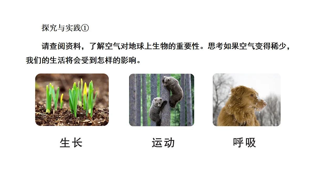 18486062第5页