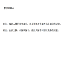 1.1 人体“指挥部”（课件）-2026-2027学年科学五年级上册粤教粤科版（2024）