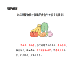 1.4 消化和吸收（课件）-2026-2027学年科学五年级上册粤教粤科版（2024）