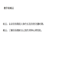 1.5 认识青春期（课件）-2026-2027学年科学五年级上册粤教粤科版（2024）