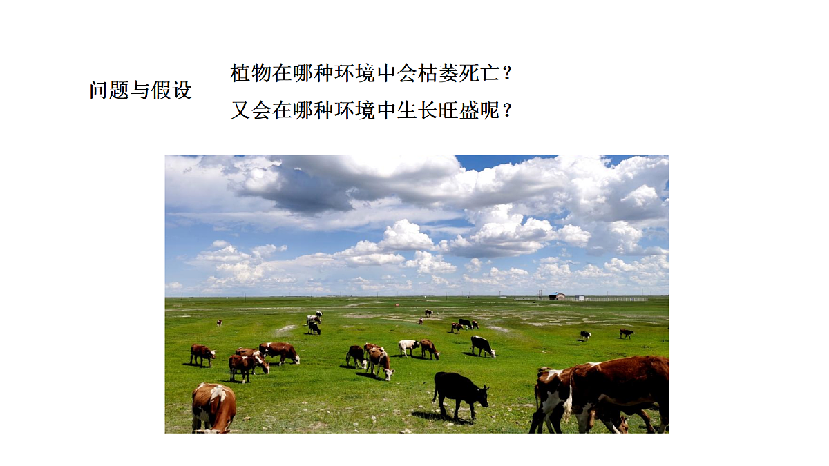 18486085第4页