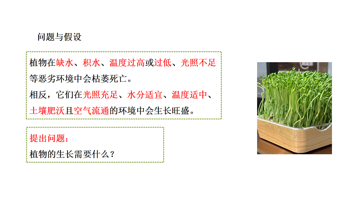 18486085第5页