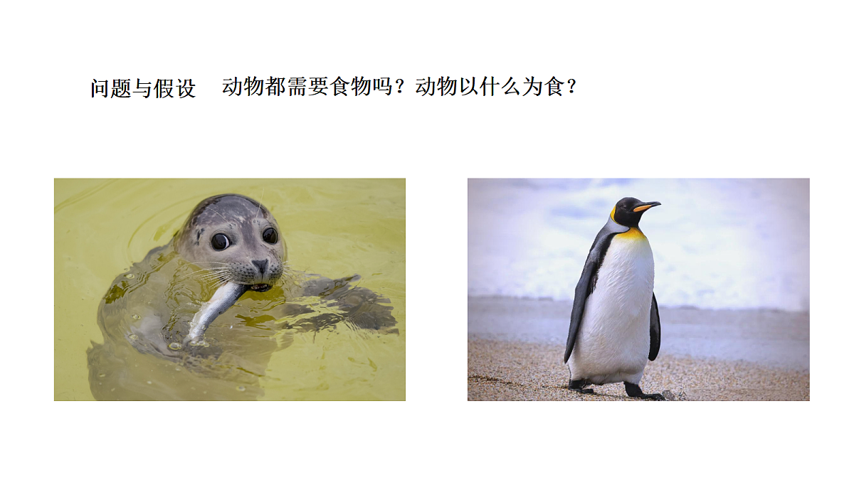 18486086第4页