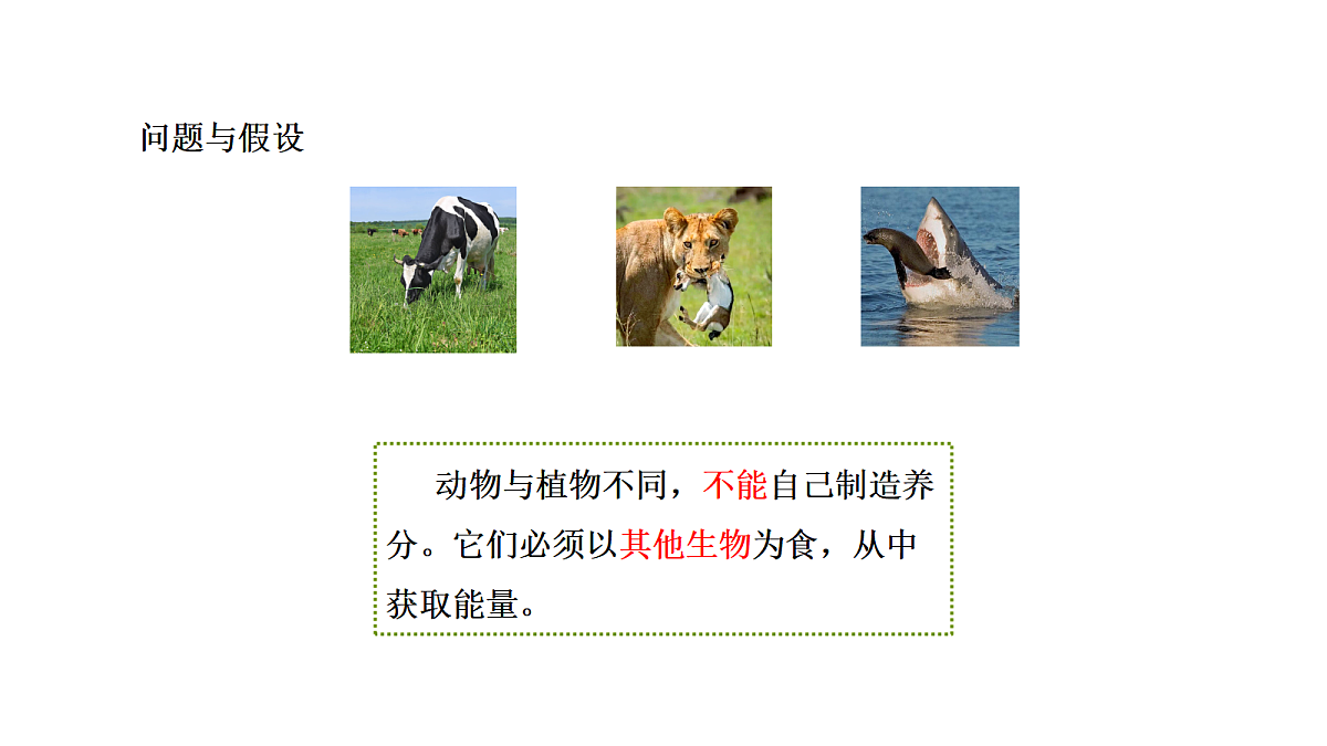 18486086第5页
