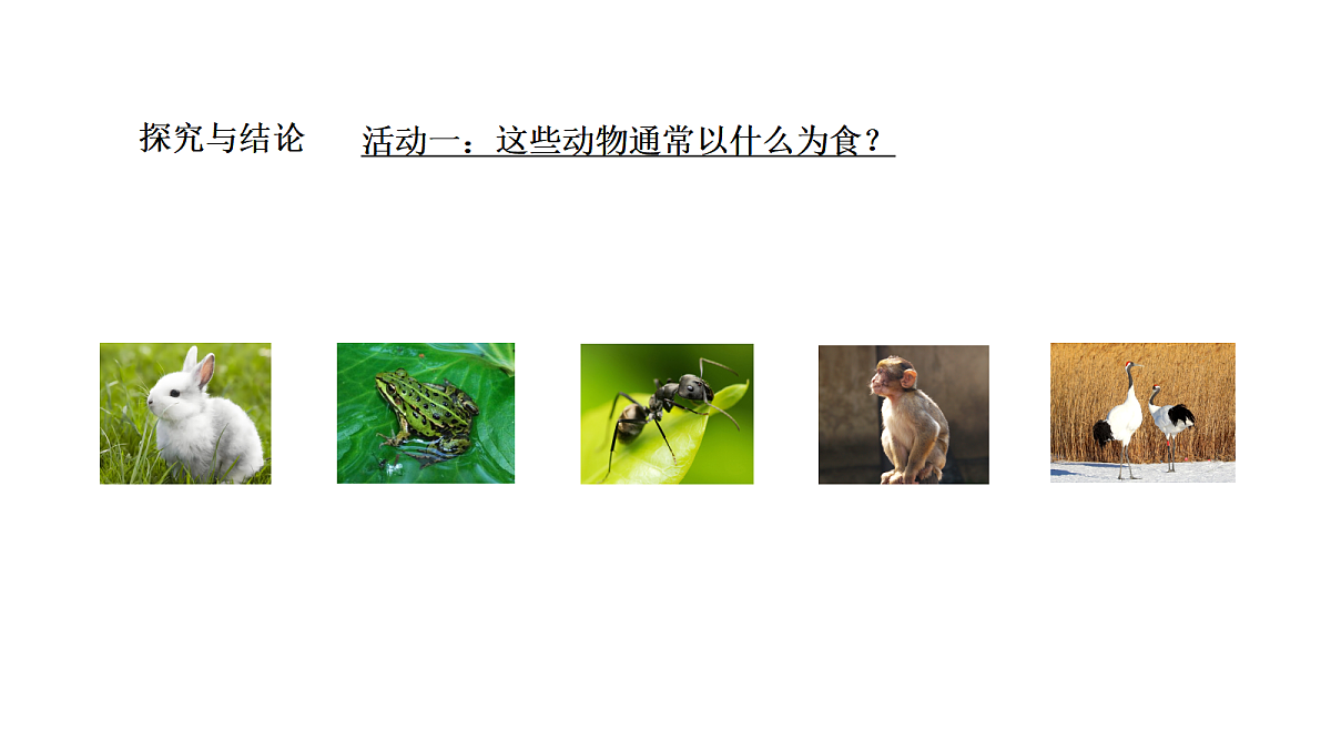 18486086第6页