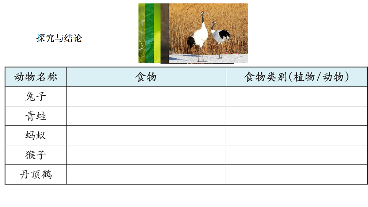 18486086第7页