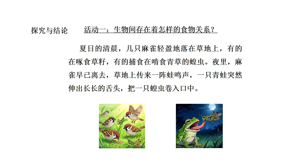 18486087第4页