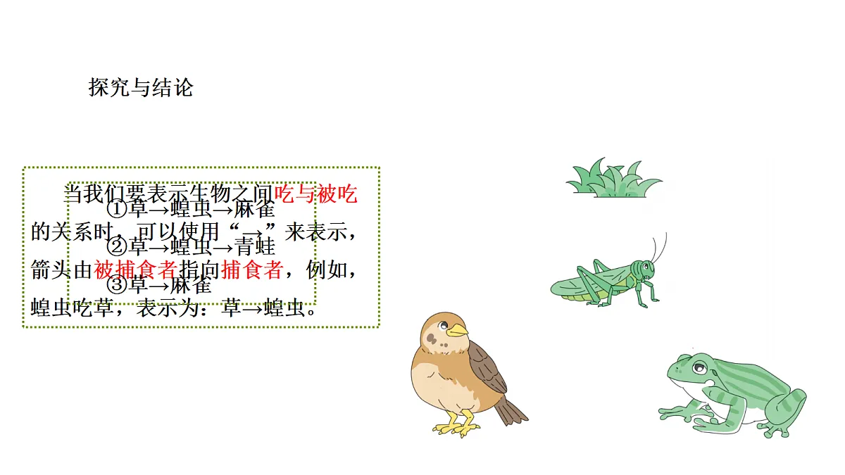 18486087第5页