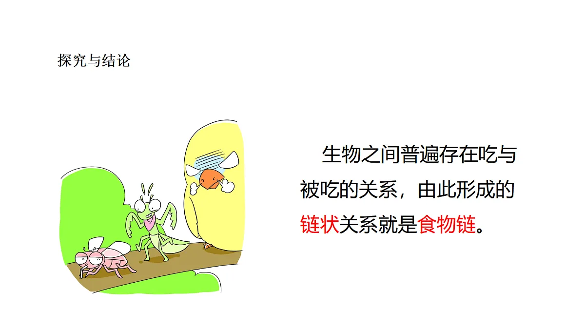 18486087第6页