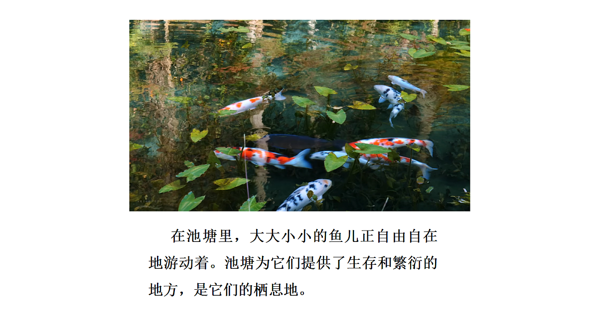 18486088第4页