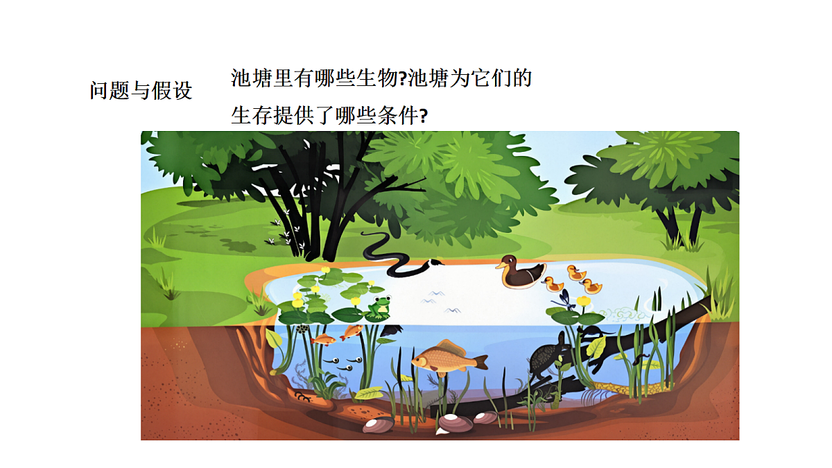 18486088第5页