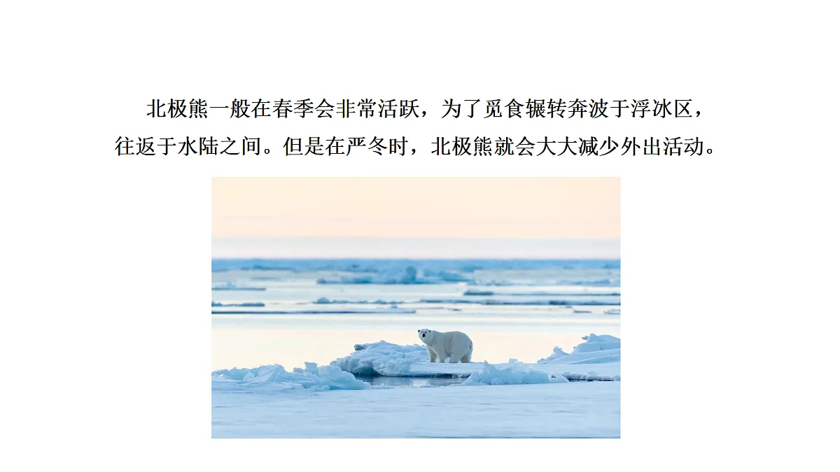 18486089第4页
