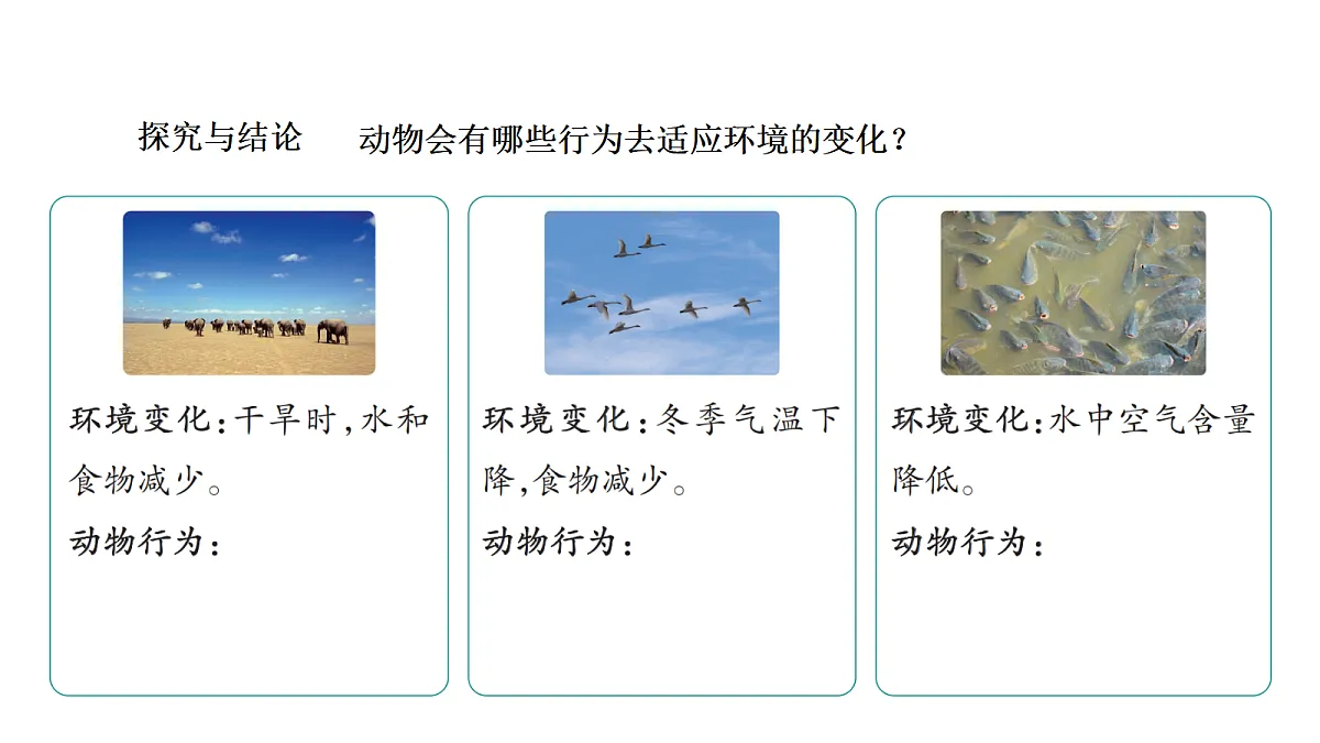 18486089第5页