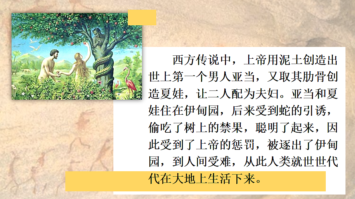 18486203第3页