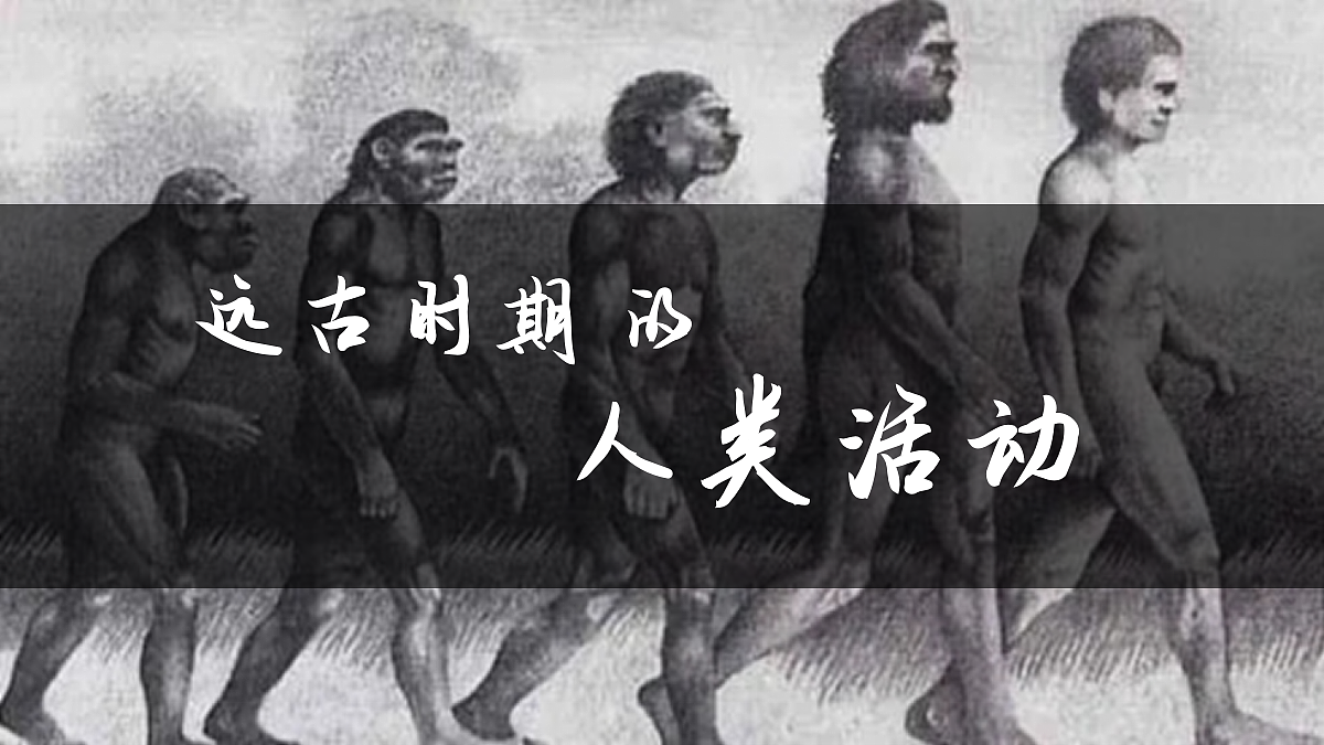 18486203第5页