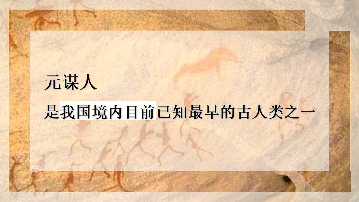 18486203第7页