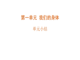 第一单元 我们的身体  单元小结（课件）-2026-2027学年科学五年级上册粤教粤科版（2024）