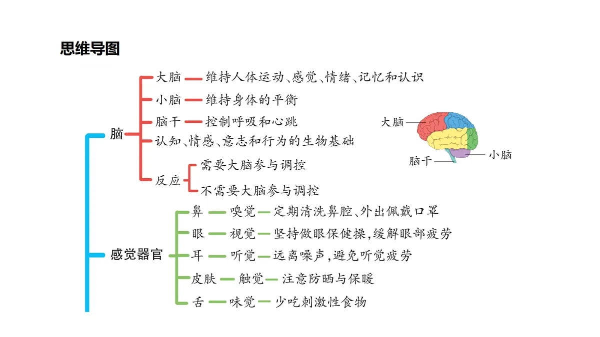 18486283第5页