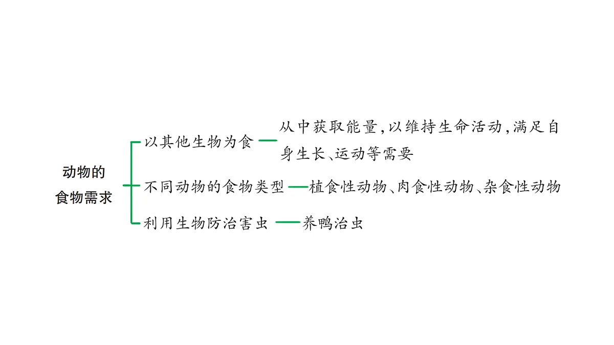 18486287第3页