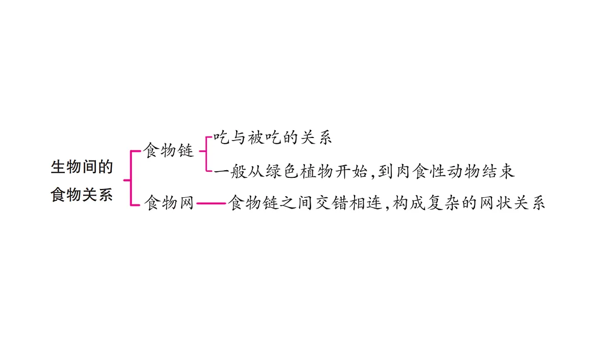 18486287第4页