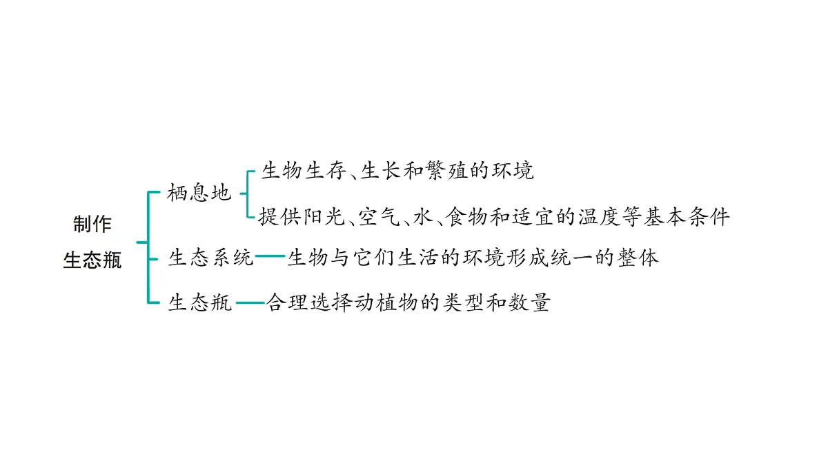 18486287第5页