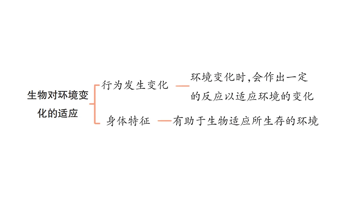 18486287第6页