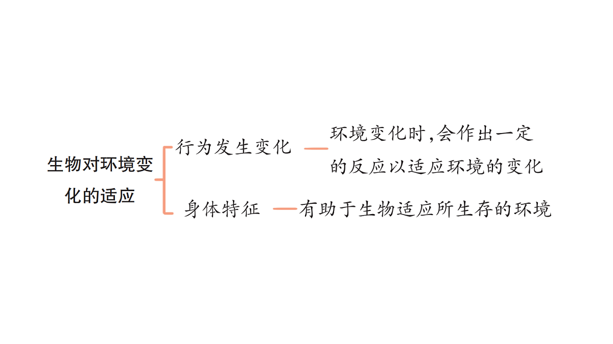 18486287第6页