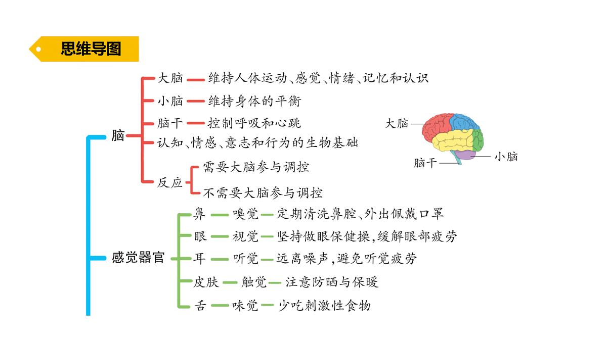 18486290第3页