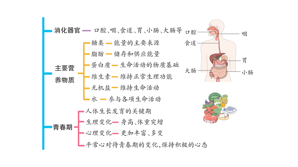 18486290第4页