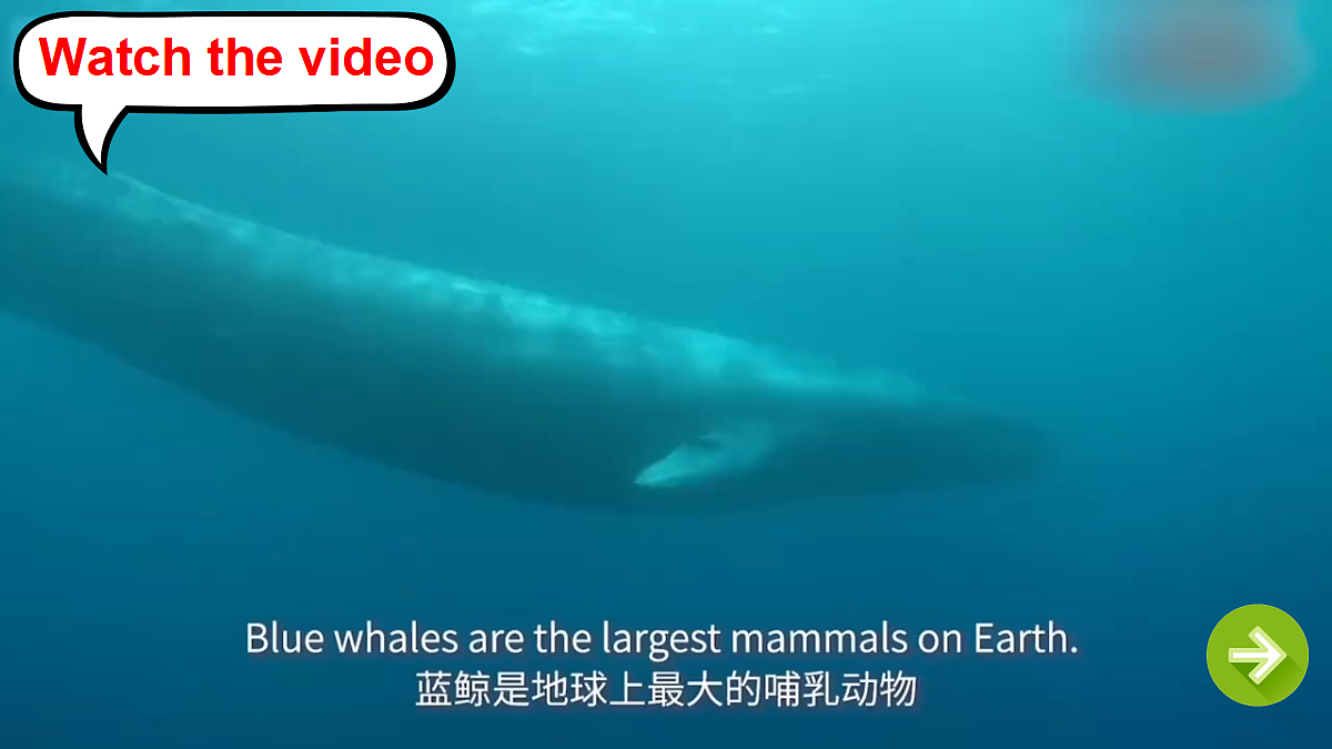 18488325第2页