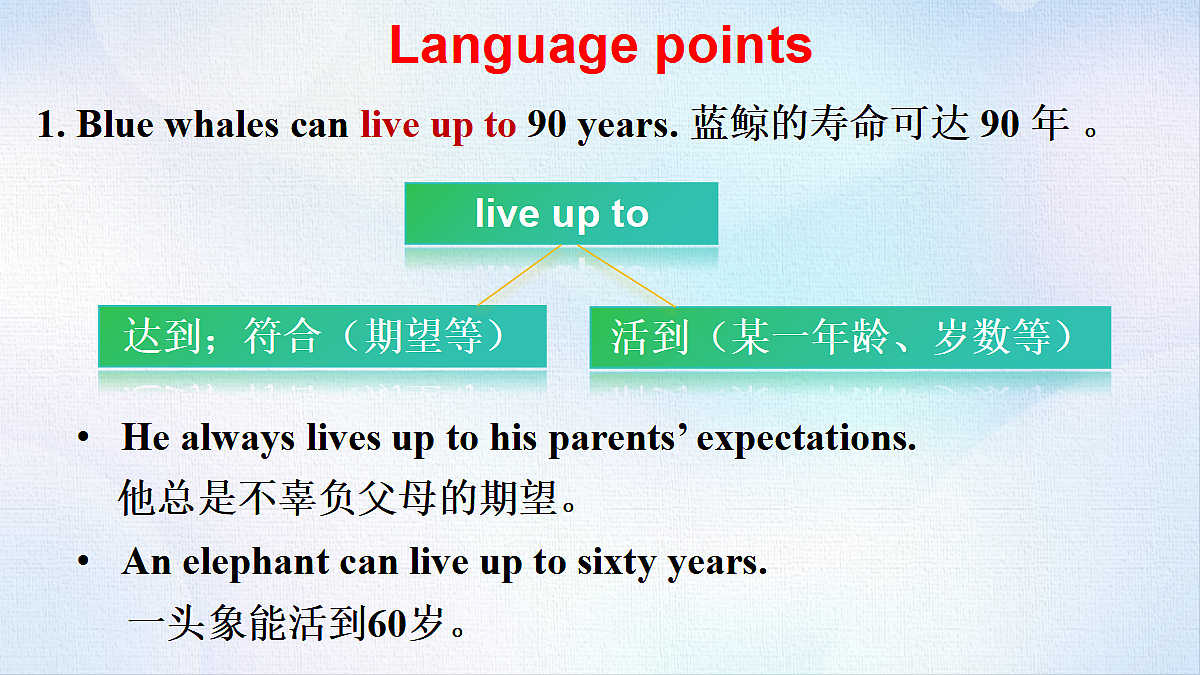 18488325第8页