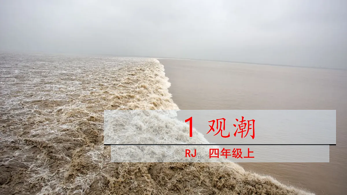 18489356第2页