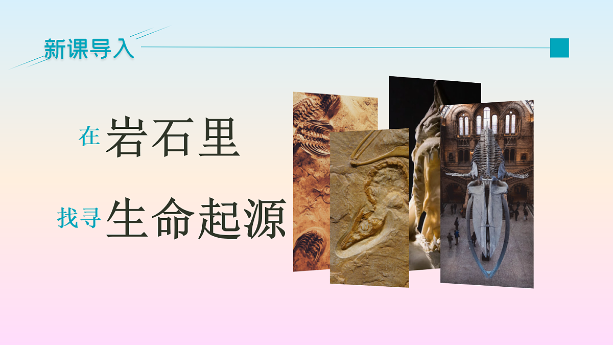 18491729第4页