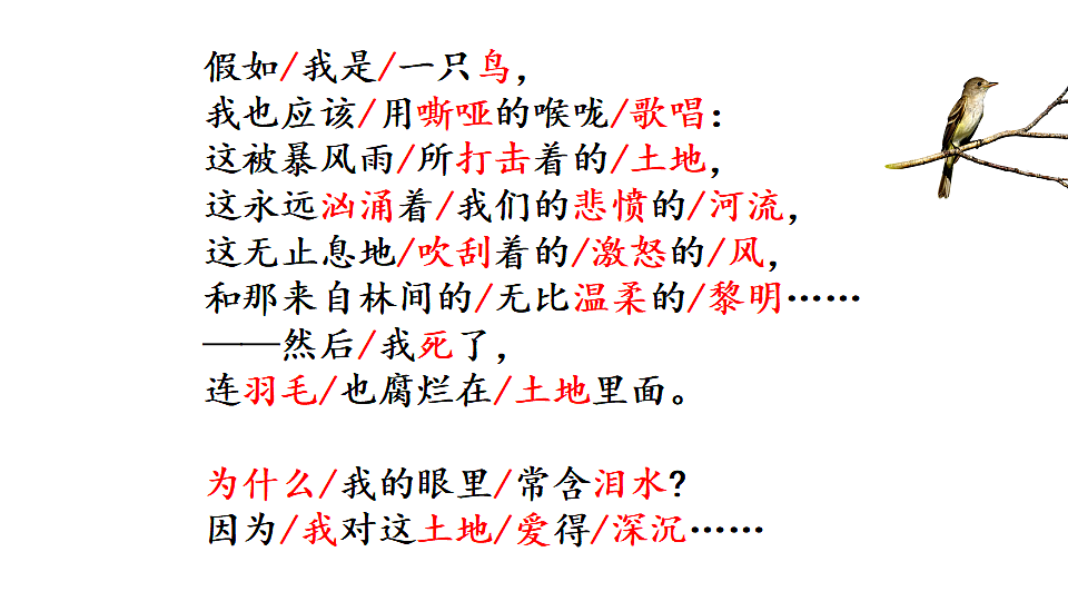 18493450第8页