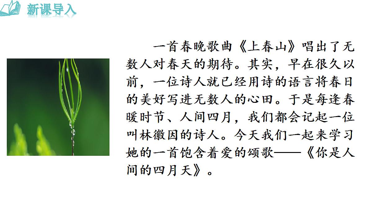 18493452第3页