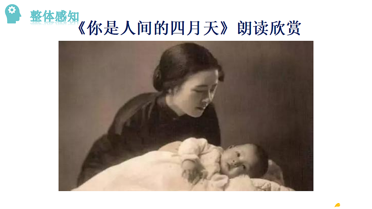 18493452第8页