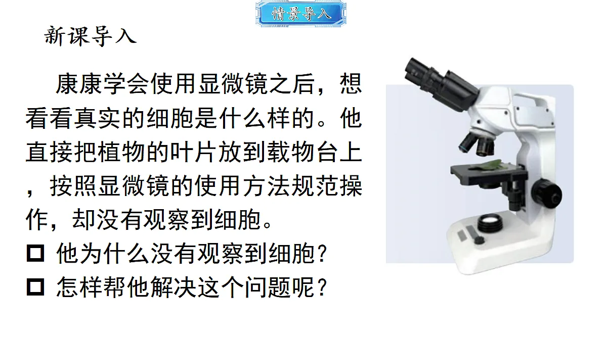 18493713第2页