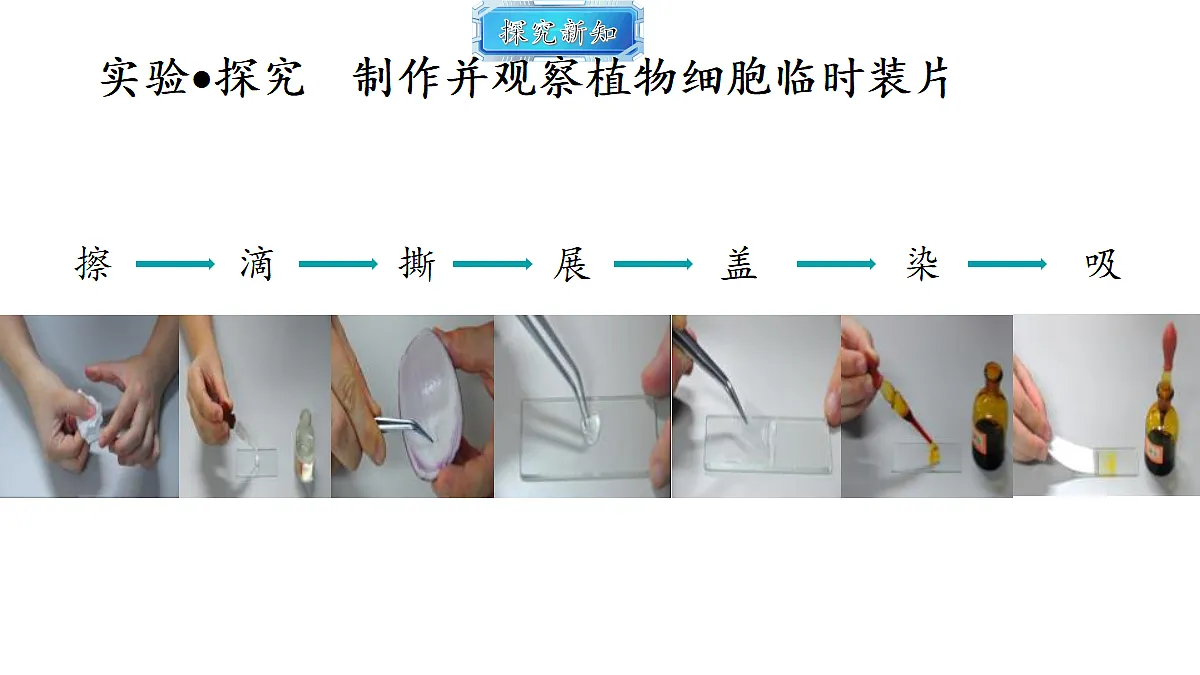 18493713第5页