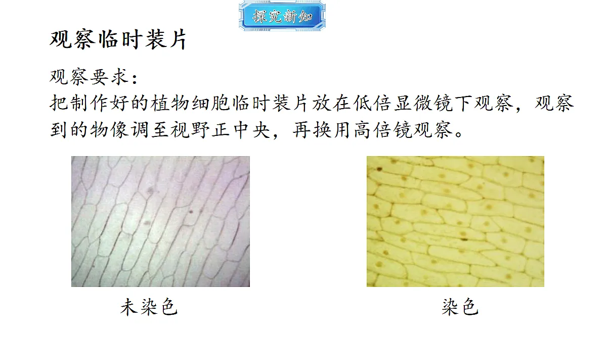 18493713第7页