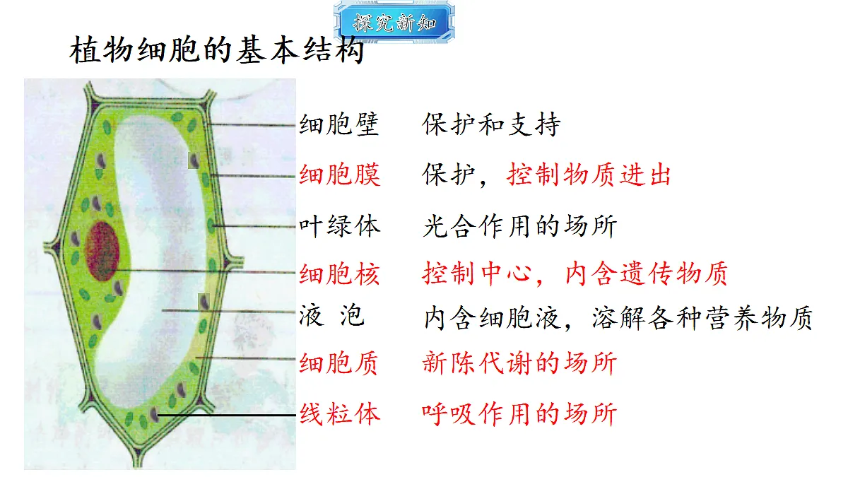 18493713第8页