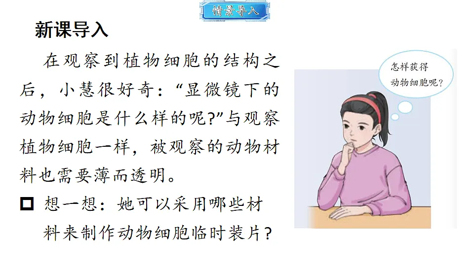 18493715第3页