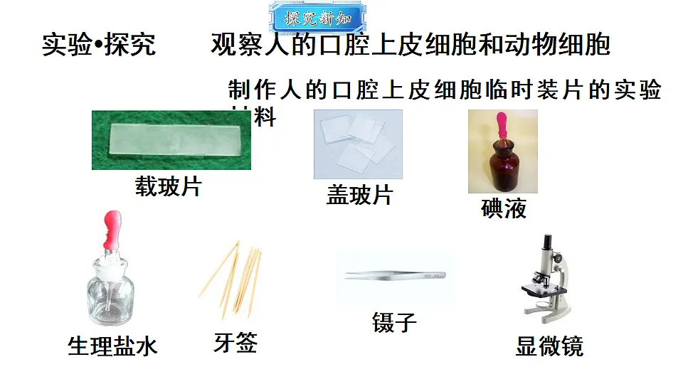18493715第4页